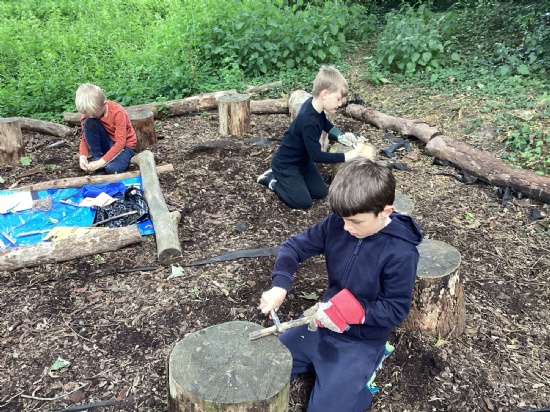 Forest School - Coming Soon!